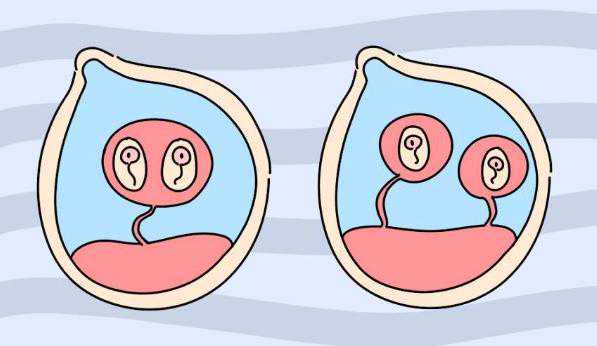 武汉代妈基地 2026代孕价钱