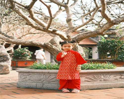 台湾做试管婴儿可以选择武汉哪里代怀最好性别吗