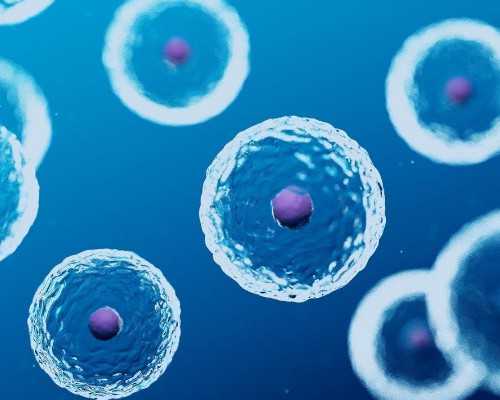 承德三代试管武汉供卵的正规医院生混血宝宝费用贵吗