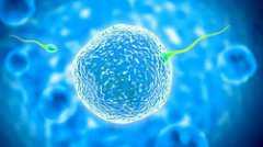 武汉代怀费用，捐精子给多少钱？捐精补偿是多少？