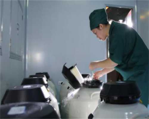 备孕期的营养宝典：叶酸、营养补充与食物选择全攻略