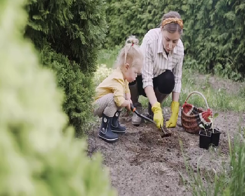 武汉借卵生子的年龄可以吃虫草吗？