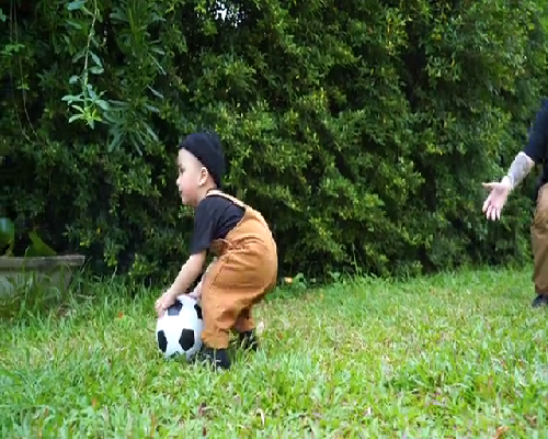 试管婴儿技术是怎样判断卵子质量