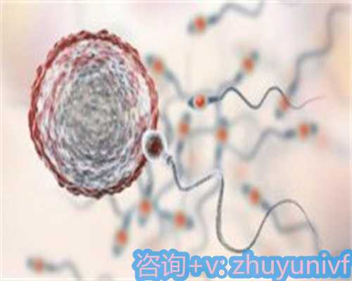 男性不孕不育如何评估需要做哪些检查，四大武汉正规医院供卵误区会影响生育