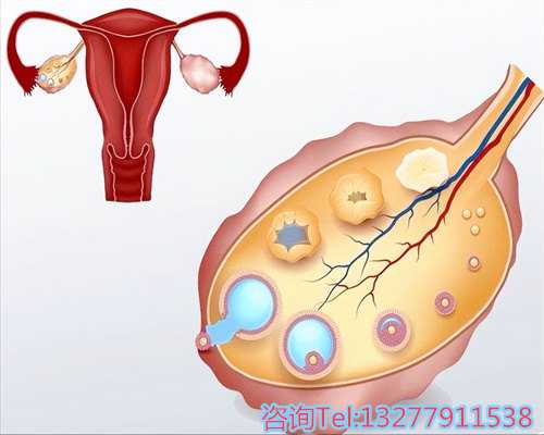 武汉试管可以选择胚胎性别吗同房后多久可以起来还需要注意什么