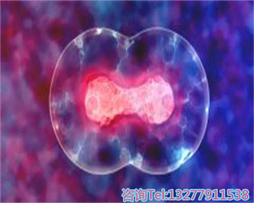 武汉代孕要结婚证吗中药调理方子来了，药方含红花应与医生说明情况