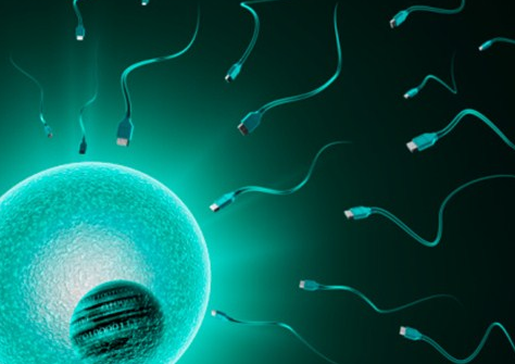 怎么通过胎心来判断武汉代生医院生孩子男女？胎心看男女是真的吗？