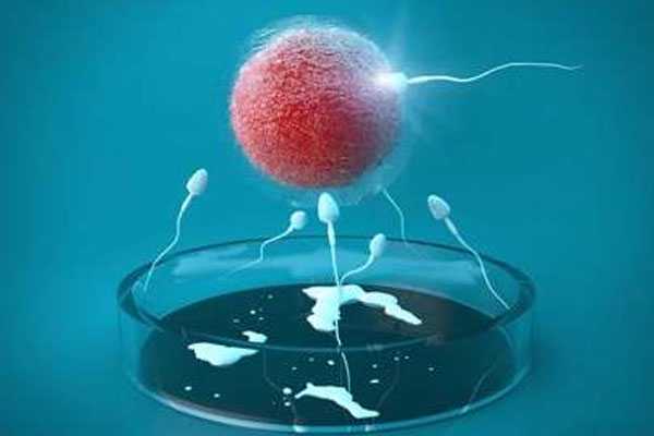 51宝贝助孕借腹生子,助孕套餐有哪些,精子质量影响受孕成功率，如何提高精子